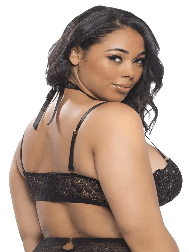 Plus Size Black Lace Gold Glints Set